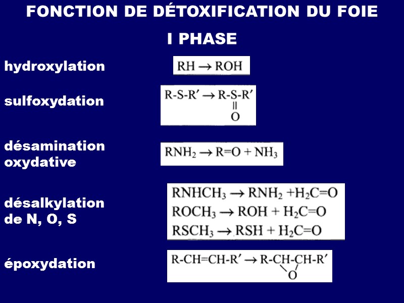 FONCTION DE DÉTOXIFICATION DU FOIE I PHASE hydroxylation sulfoxydation désamination oxydative désalkylation de N,